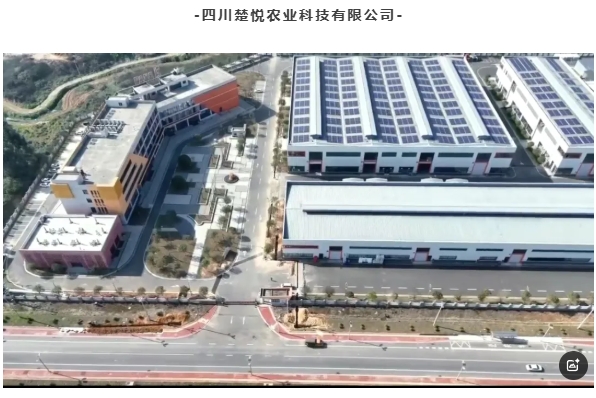 微信截图_20250612140819.jpg