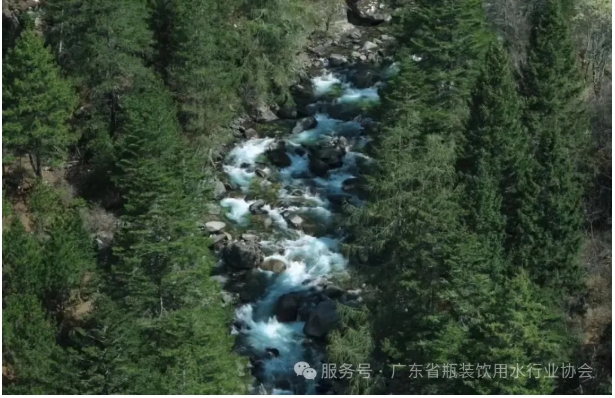 微信截图_20250701180525.jpg